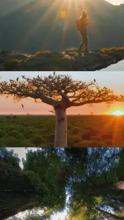 Cinematic nature 