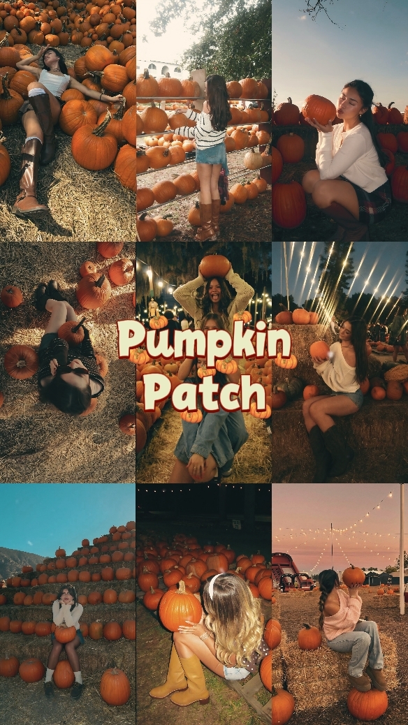 Pumpkin Patch