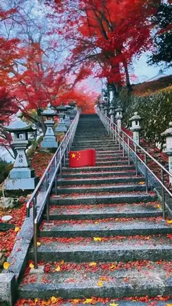 China Trip