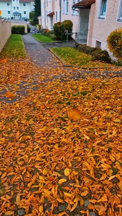 autumn Passau 