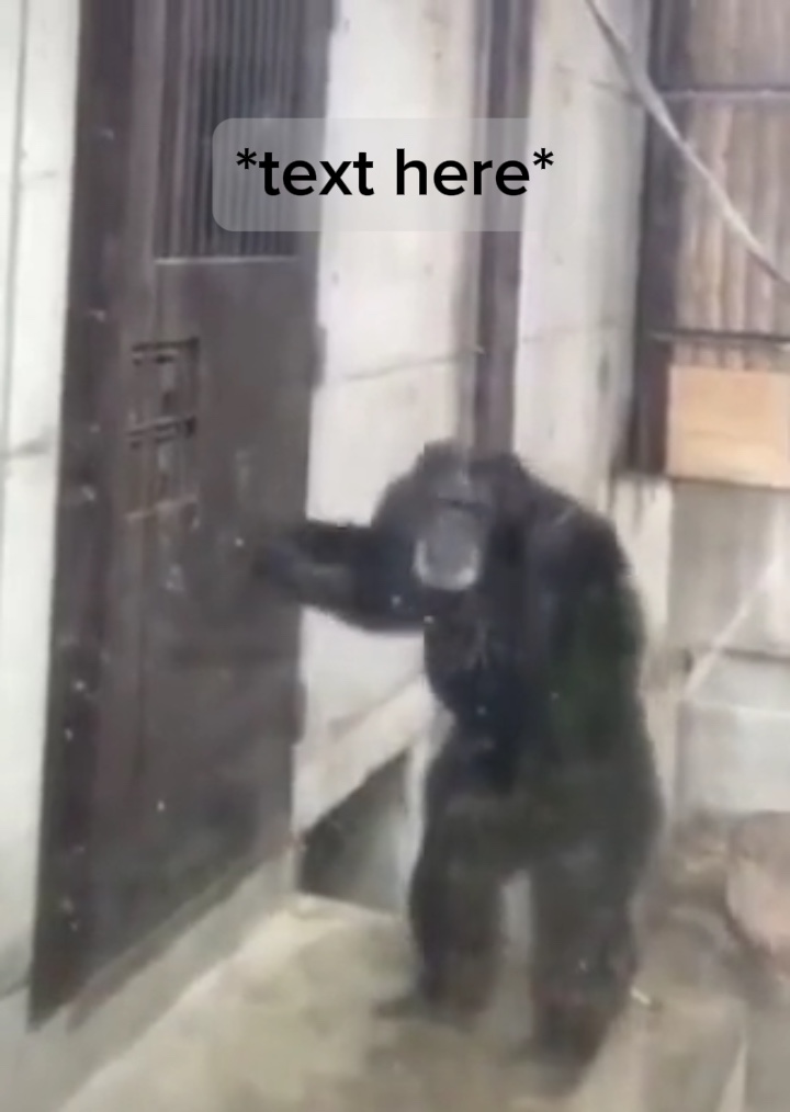 LET ME OUT 
