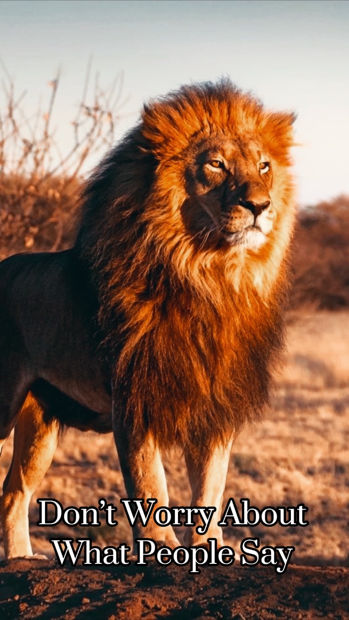What People Say