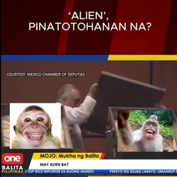 balita alien
