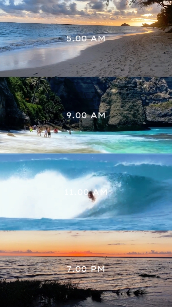 Beach Recap