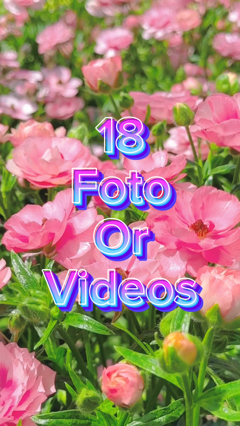 18 slide de vídeo