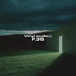 Vinyl audio p.215🎧