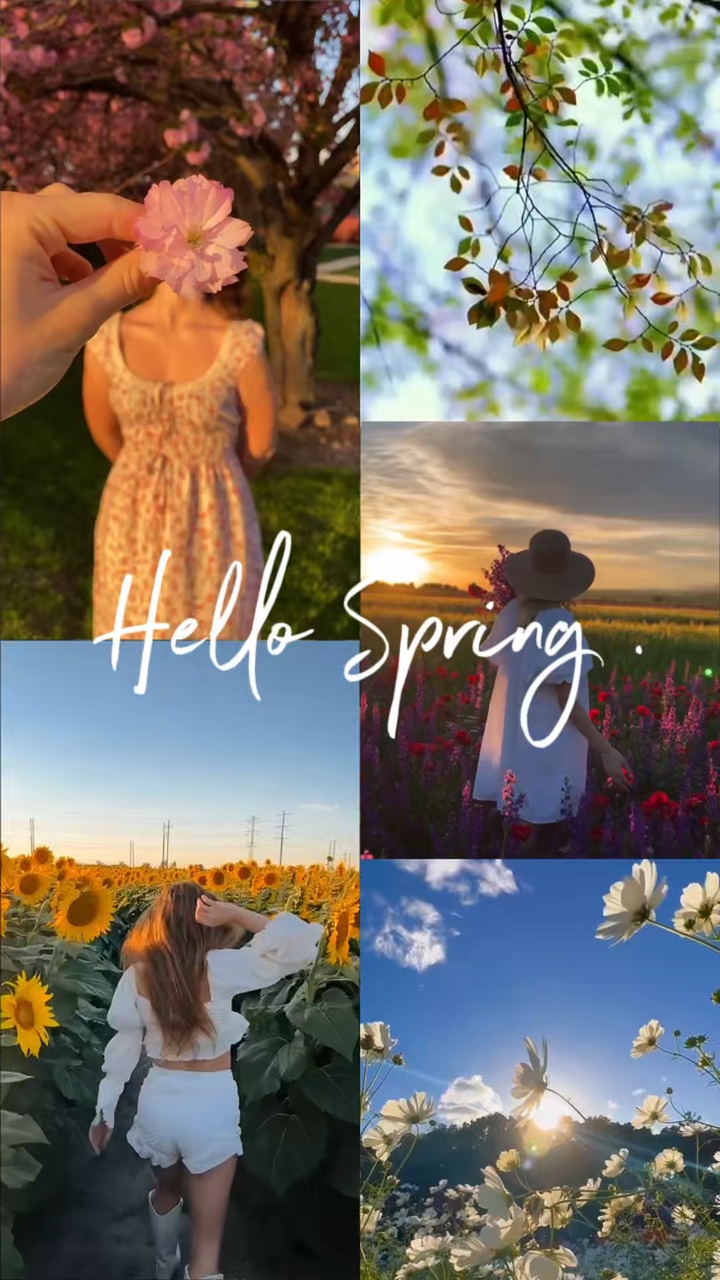 Hallo Frühling