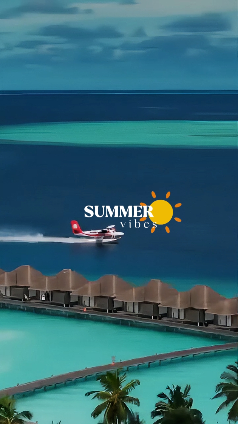 夏日活力