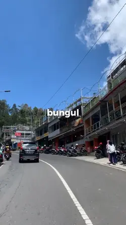 BUNGUL