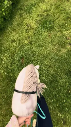 Hobby horsing slowmo