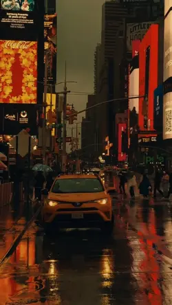 City lights