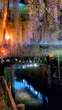 花 ライトアップ