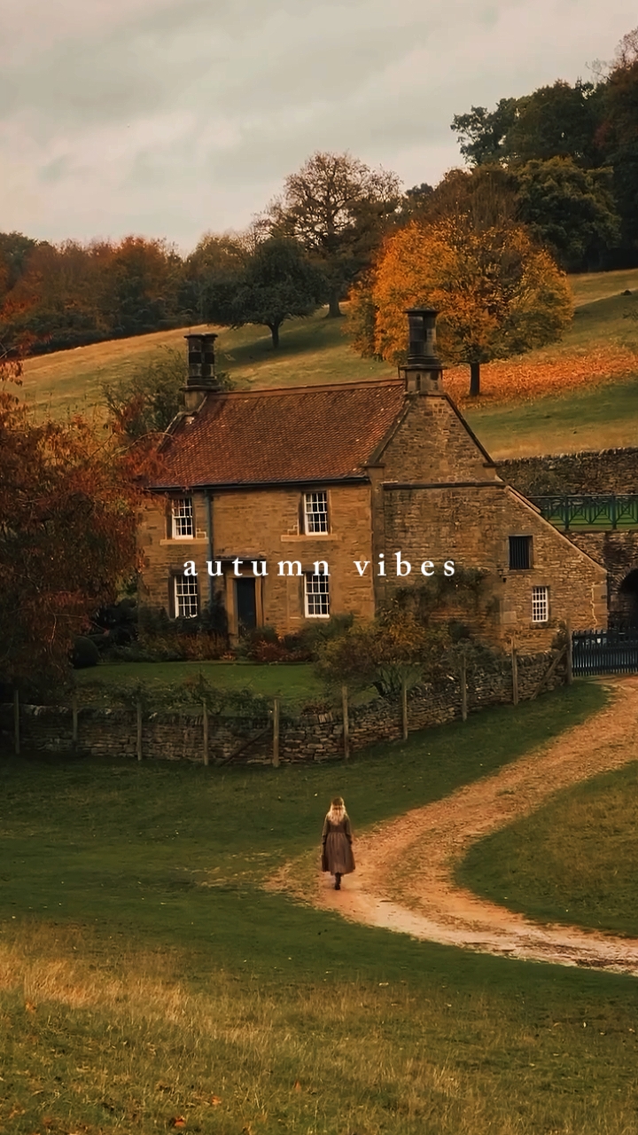 autumn vibes