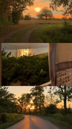 doğa şablon