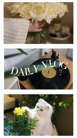 Daily Vlog
