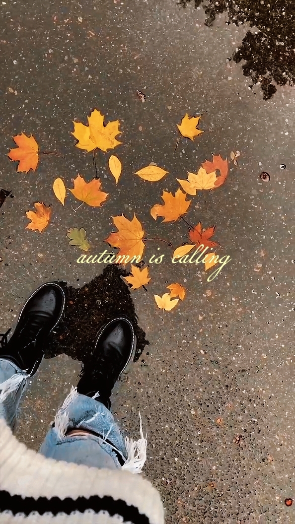autumn is calling 