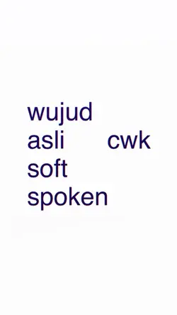 CWK SOFT SPOKEN
