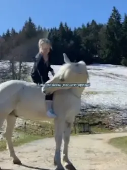 SAME EDIT NO EFFECTS