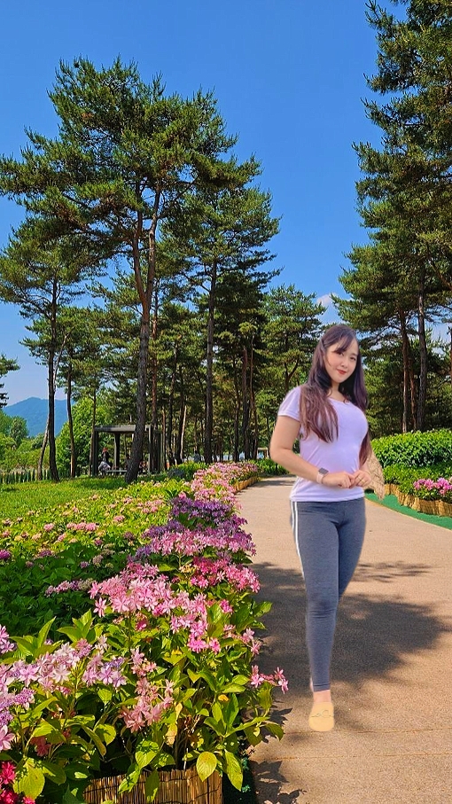 kebun pinus