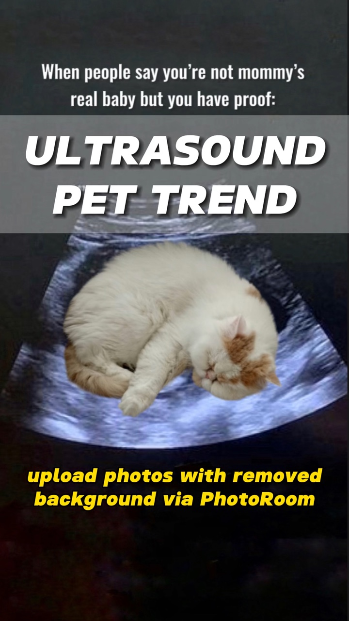 Tendencia de ultrasonido para mascotas