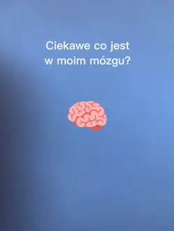co jest w mózgu?