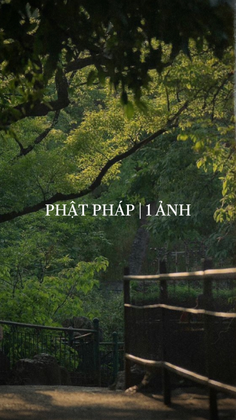 Pht Pháp 🪷