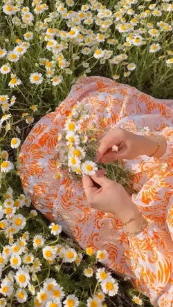 yaz şablon