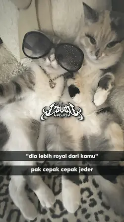 dia lebih royal dari