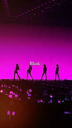 we are blink 
