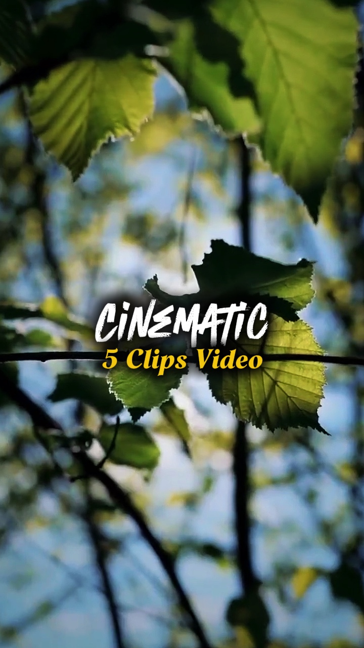 5 CLIPS VIDEO 