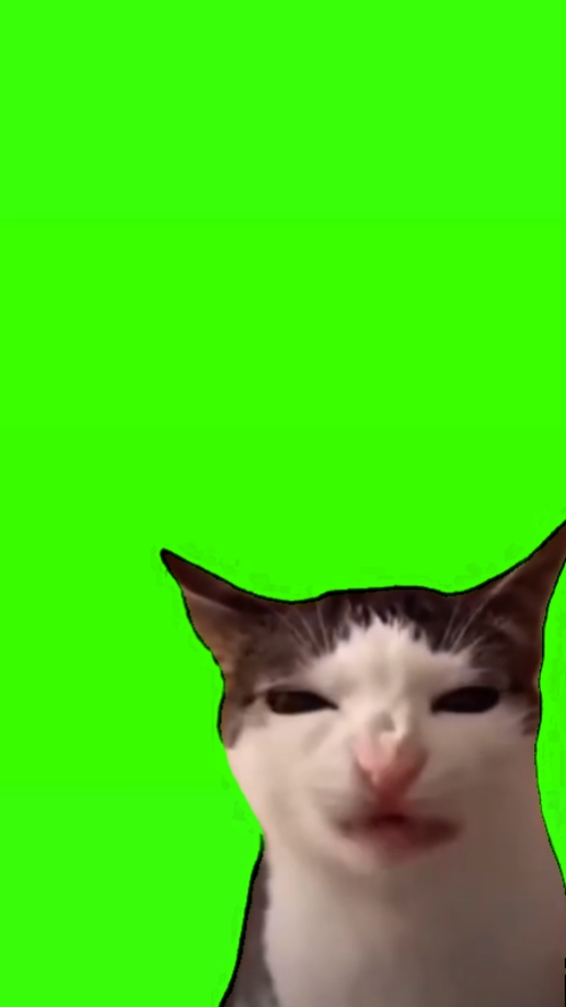 Katzenbiss-Meme