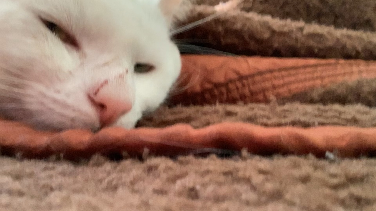 BLOW UP MY NOTIFICAT