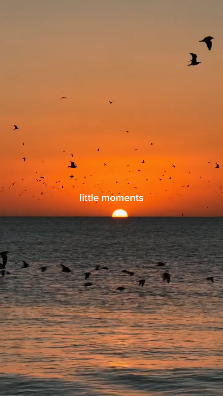 little moments 