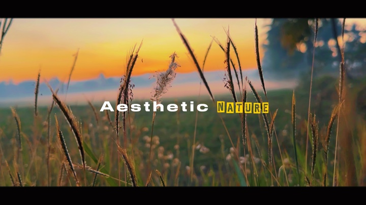 KINEMATIC NATURE HD