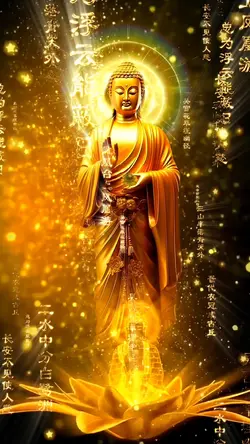 Nam Mô A Di Đà Phật🙏