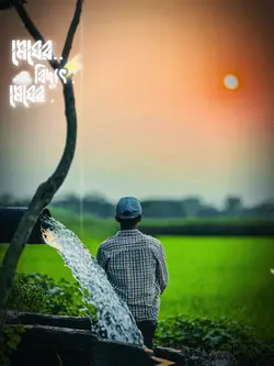 মেঘের