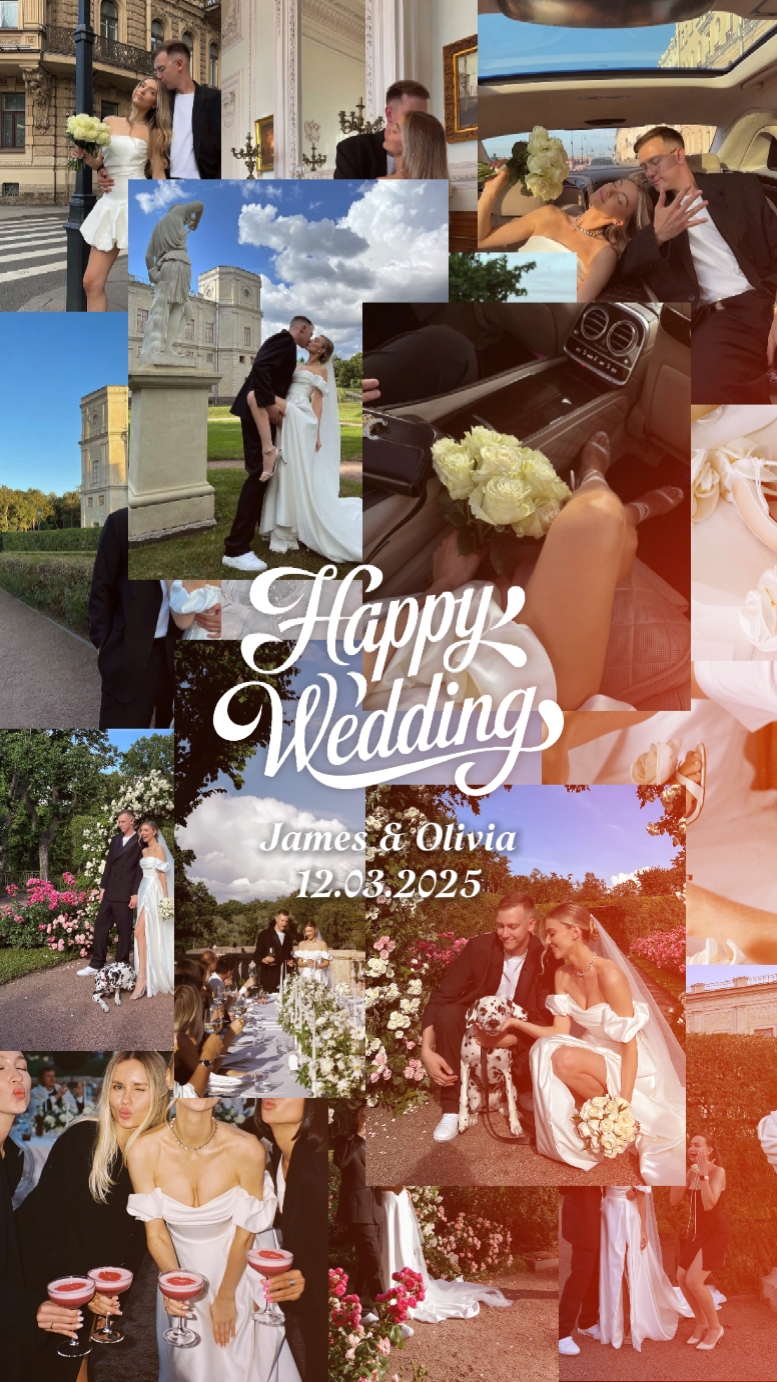 Happy Wedding party