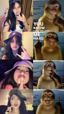 GAYA POSE MONKEY 