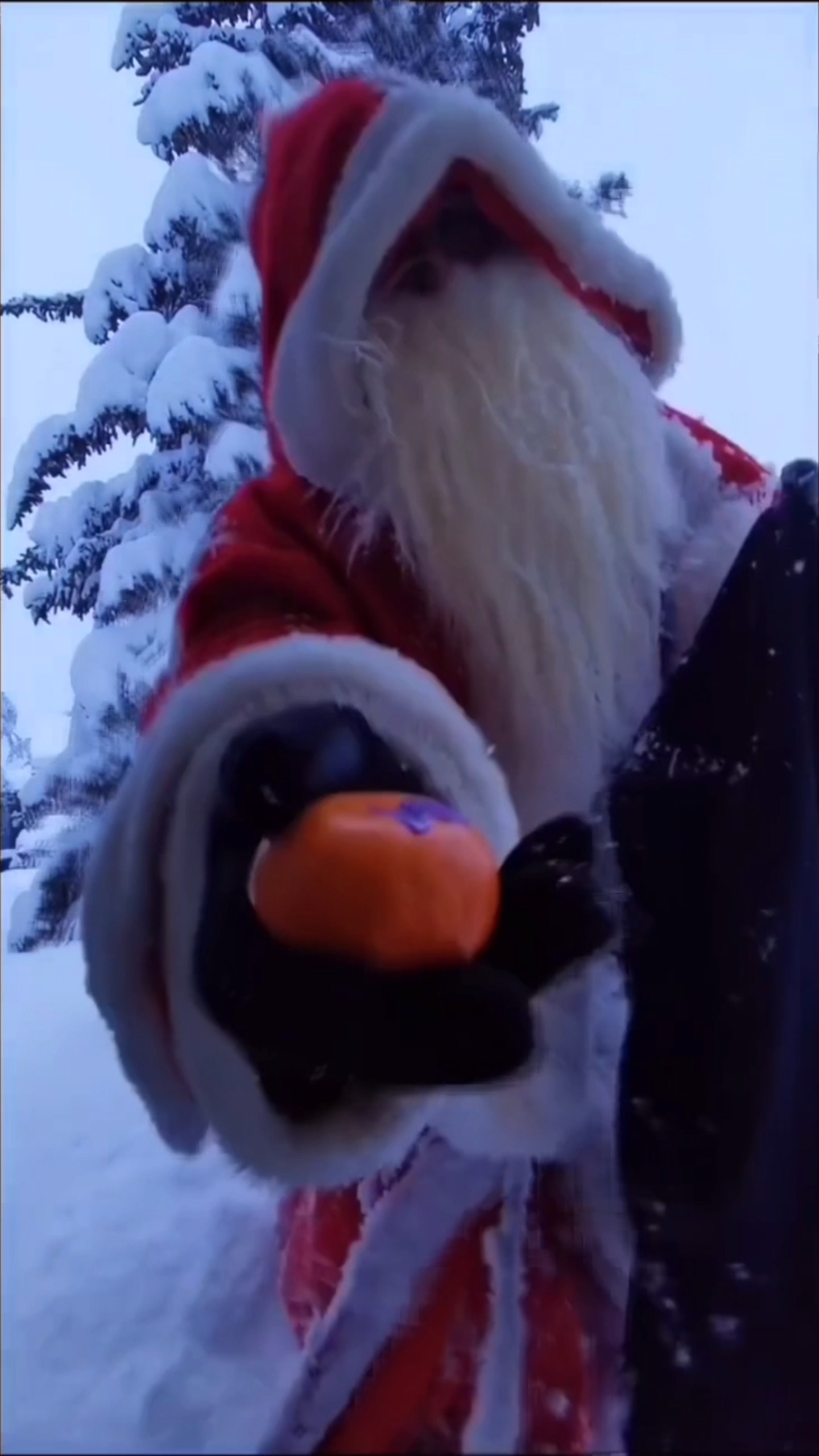 Cadeaux du Père Noël