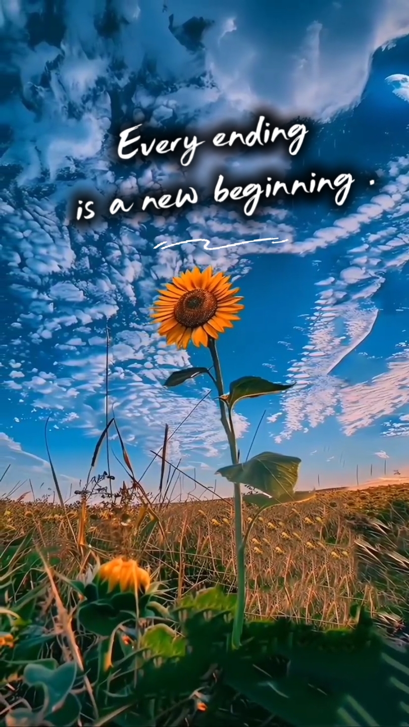 Positive Qoutes