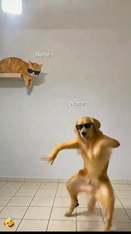 Perro Gracioso