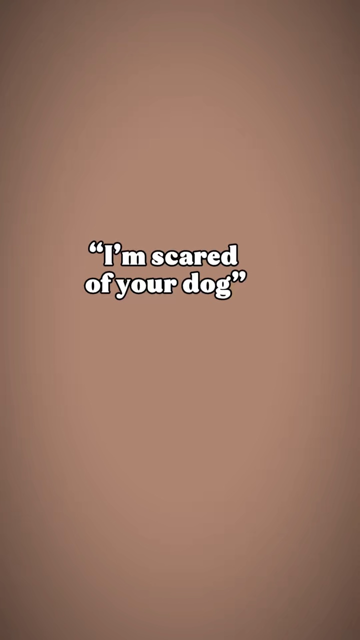 Seu cachorro 