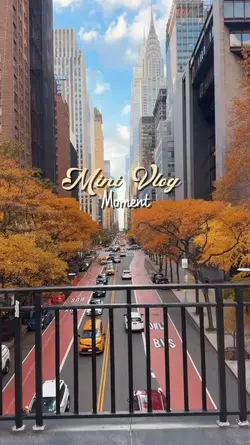 Mini Vlog
