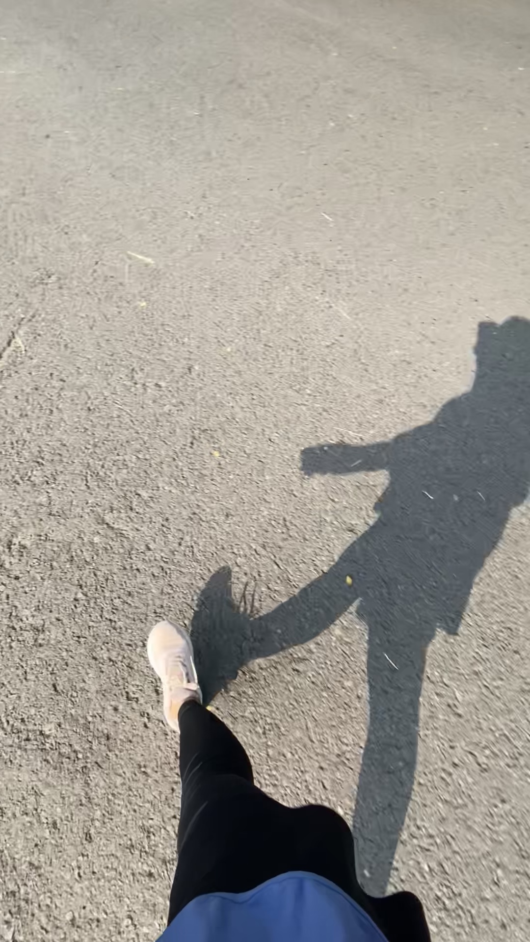Caminata rápida