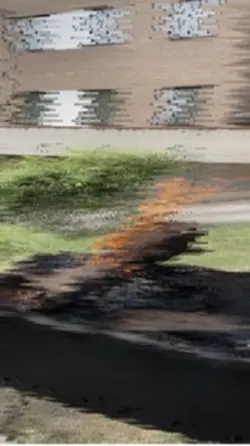 Moldoveni 