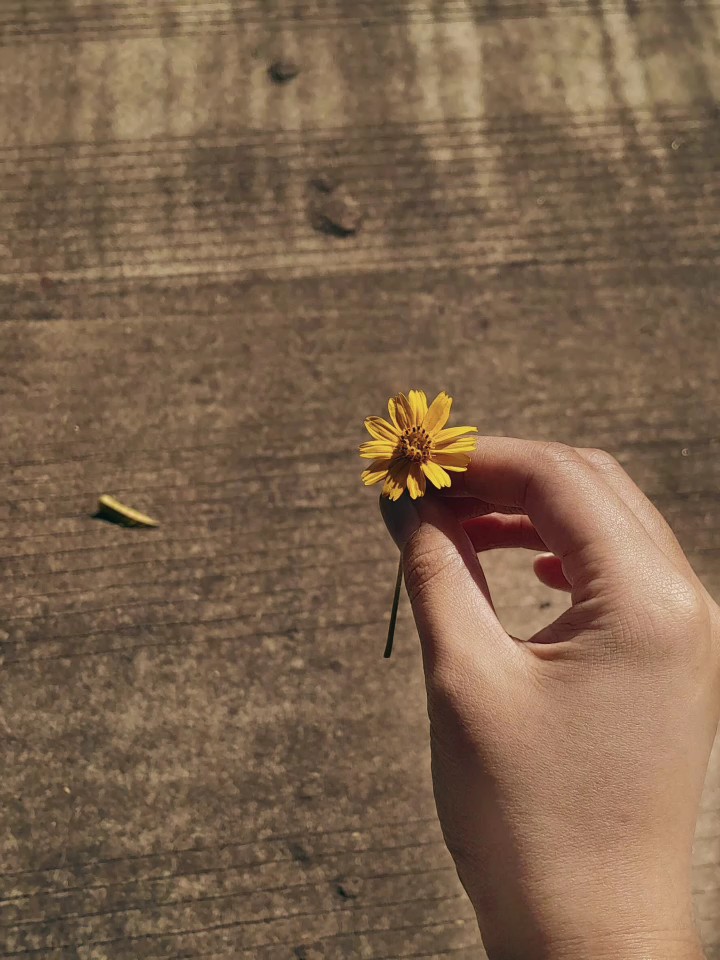 tristesse de l'heure d'été 