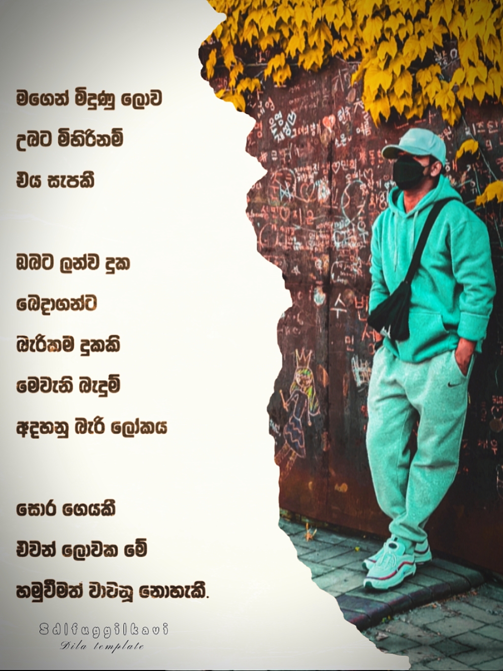 Cover Picture