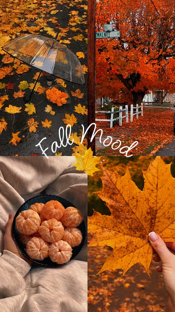 Humeur d'automne