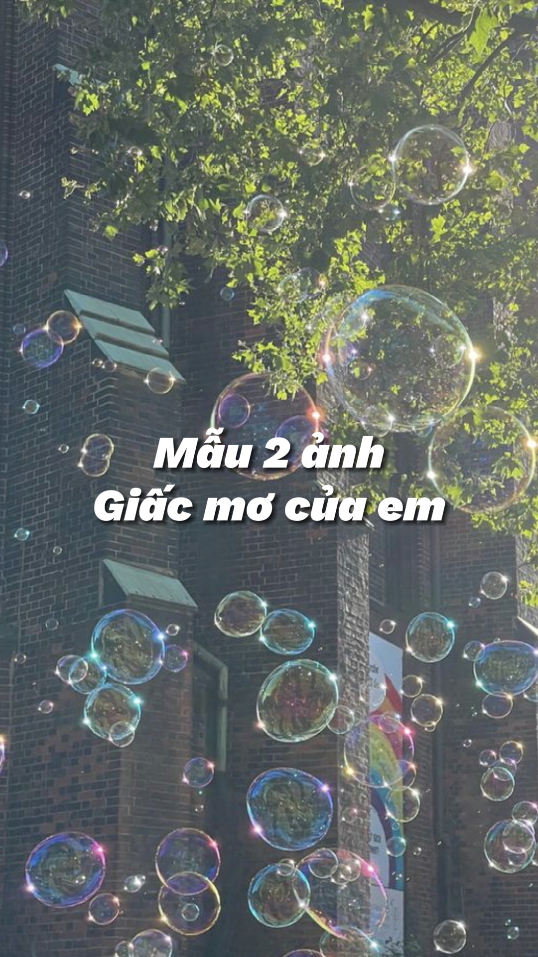 Mẫu 2 ảnh