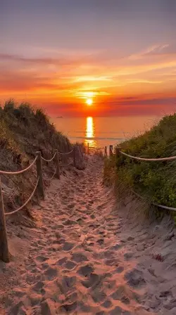 ocean & sunset
